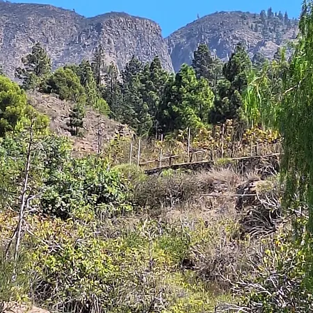 Casa El Pino B 아파트