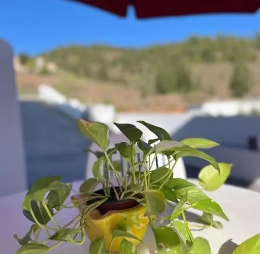 Casa El Pino B * Vera de Erque